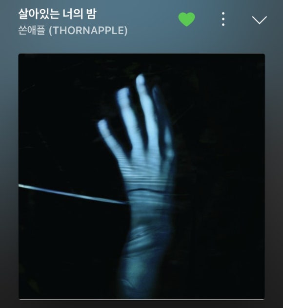 드왕 이미지