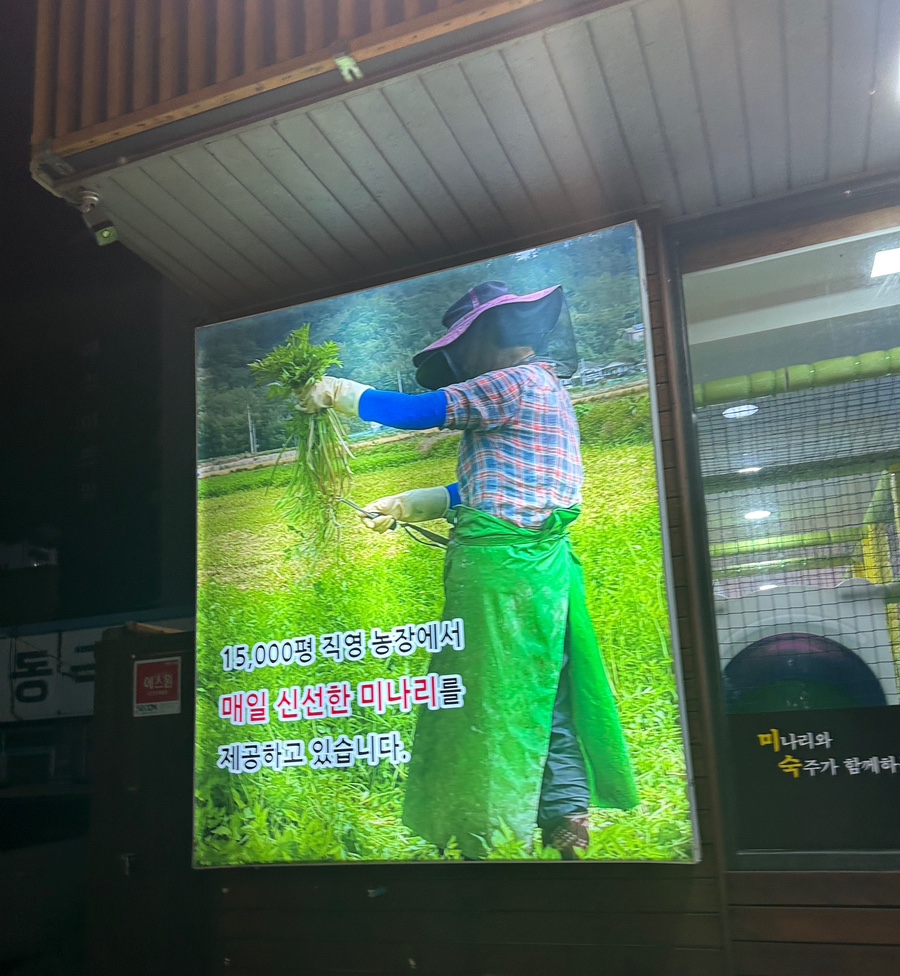 미숙이랑꼬기랑 이미지