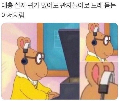 대한DH 이미지