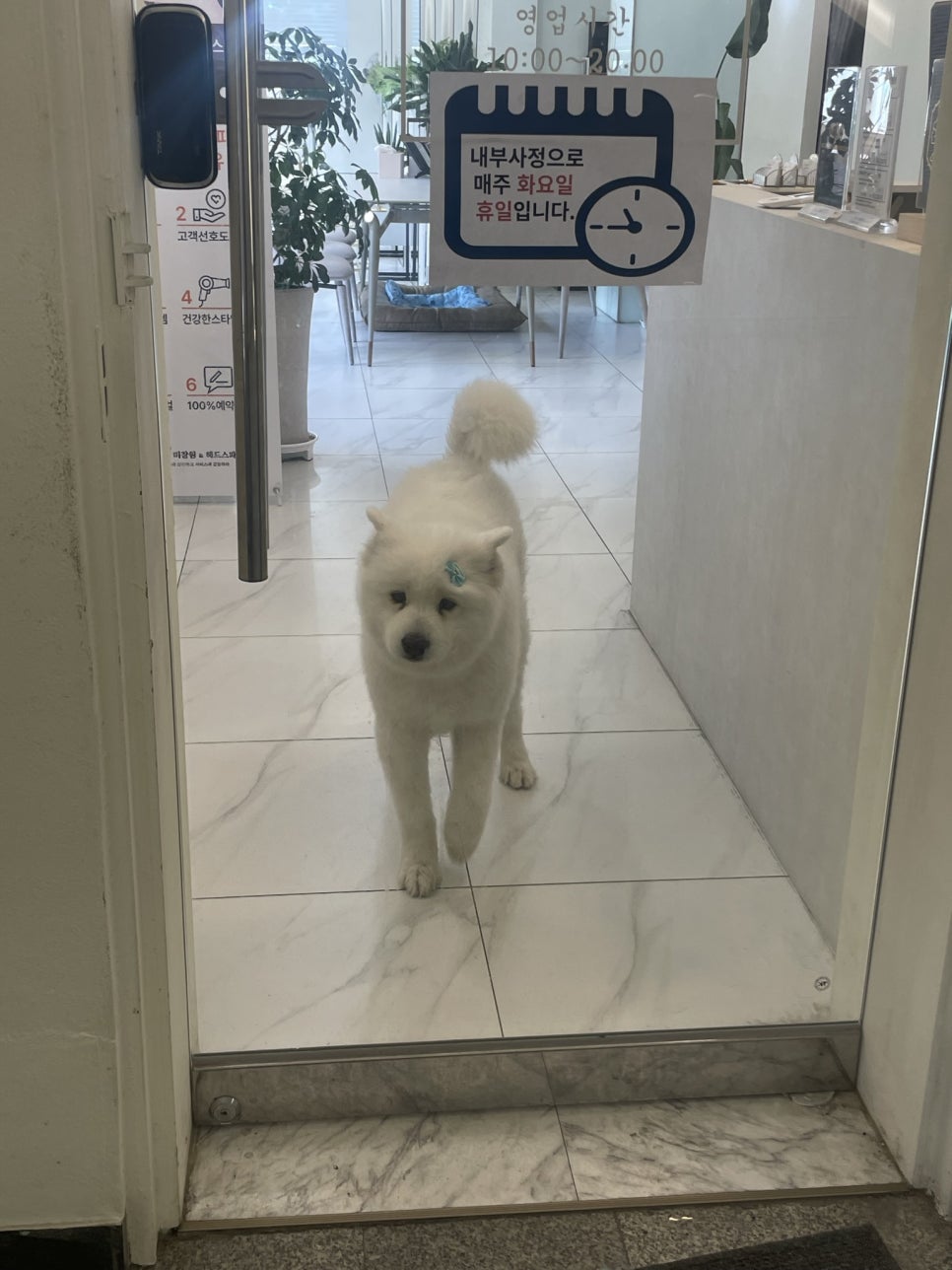 앤미장원 이미지