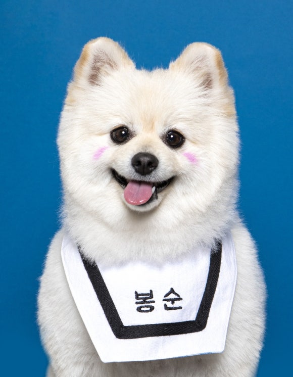 마농사진관 이미지