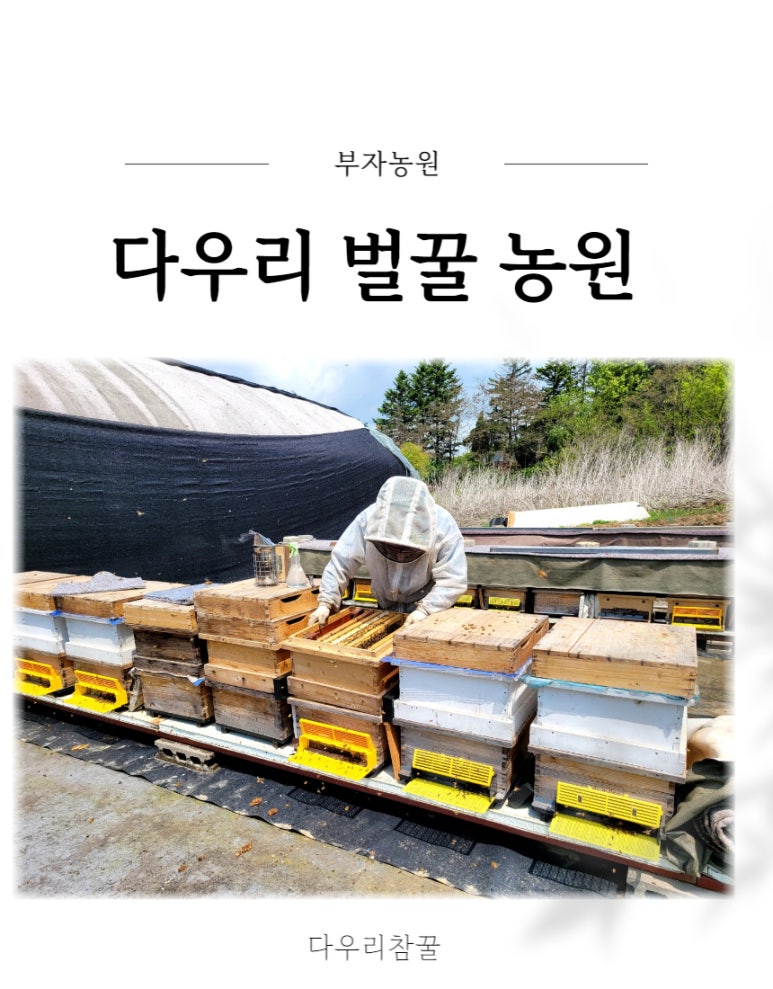 다우리식품 이미지