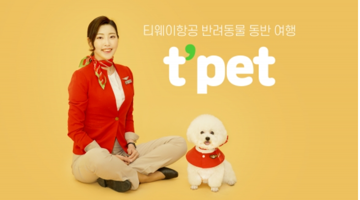크루멘토7승무원학원 이미지