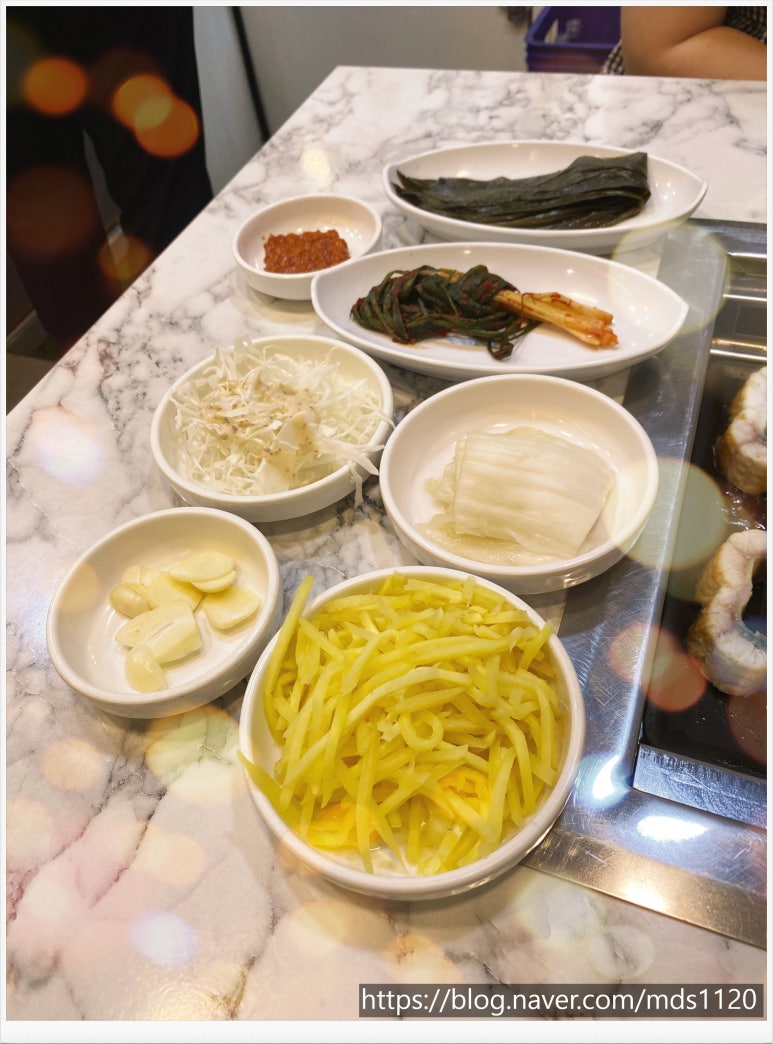 베풀장어 이미지