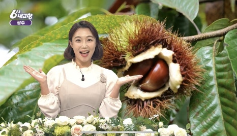내고향농수산물 이미지