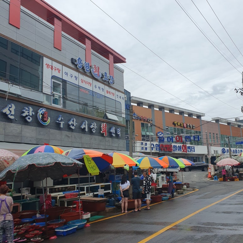 진아초장집 이미지