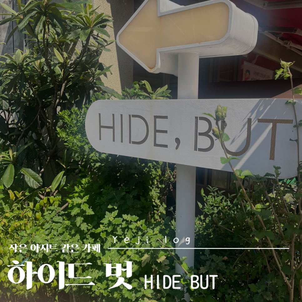 하이드벗(hide but) 이미지