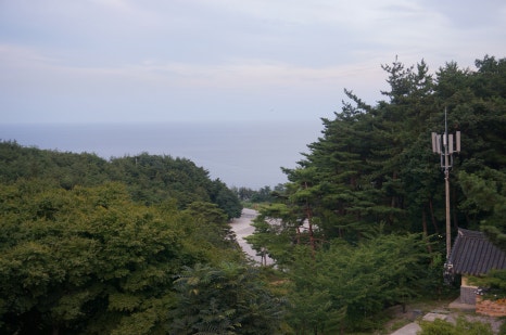 안인진임해자연휴양림 이미지