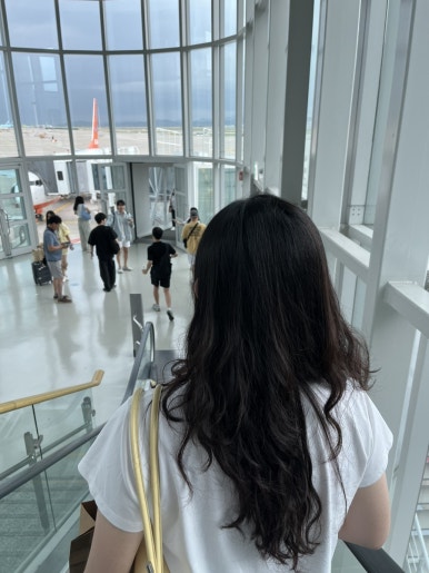 코타팸 이미지