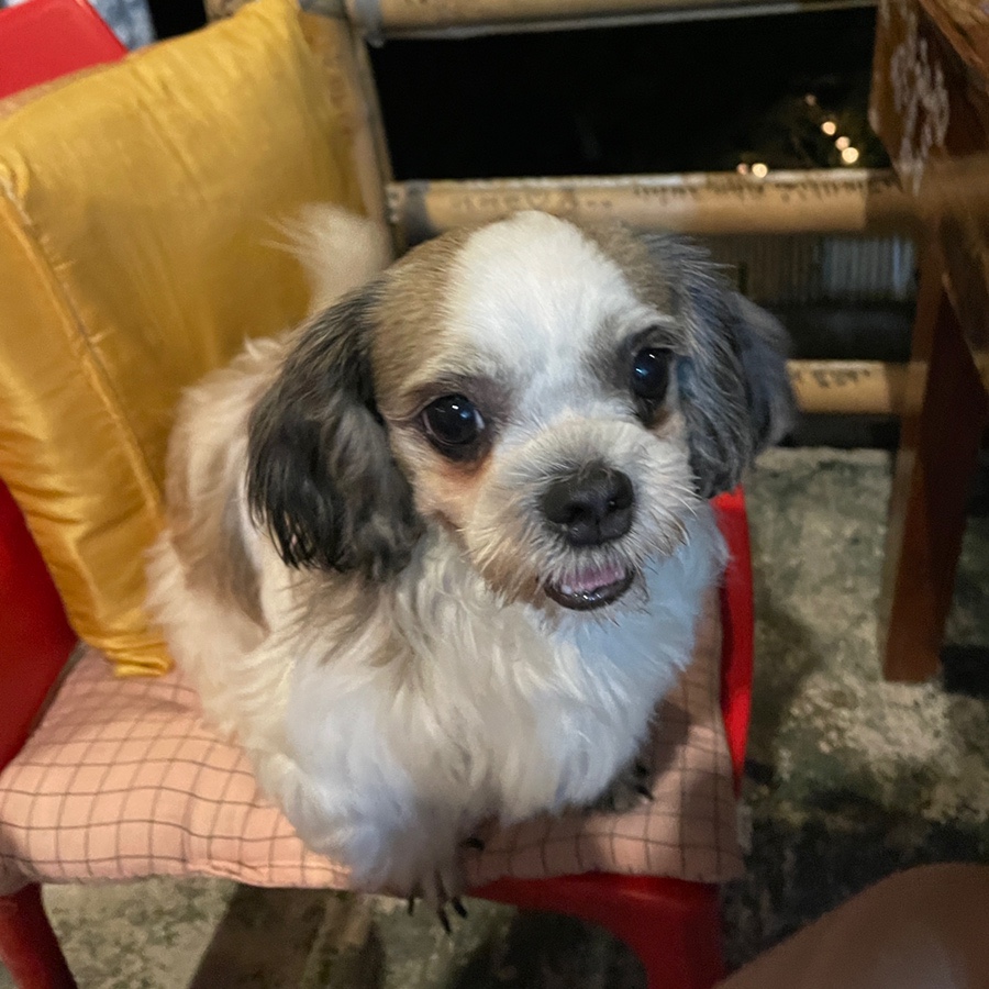 찐노래주점 이미지