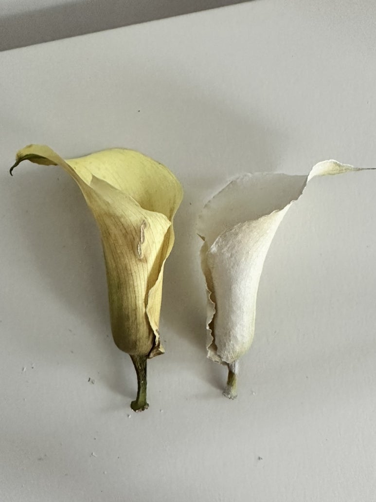 솔기프트 이미지
