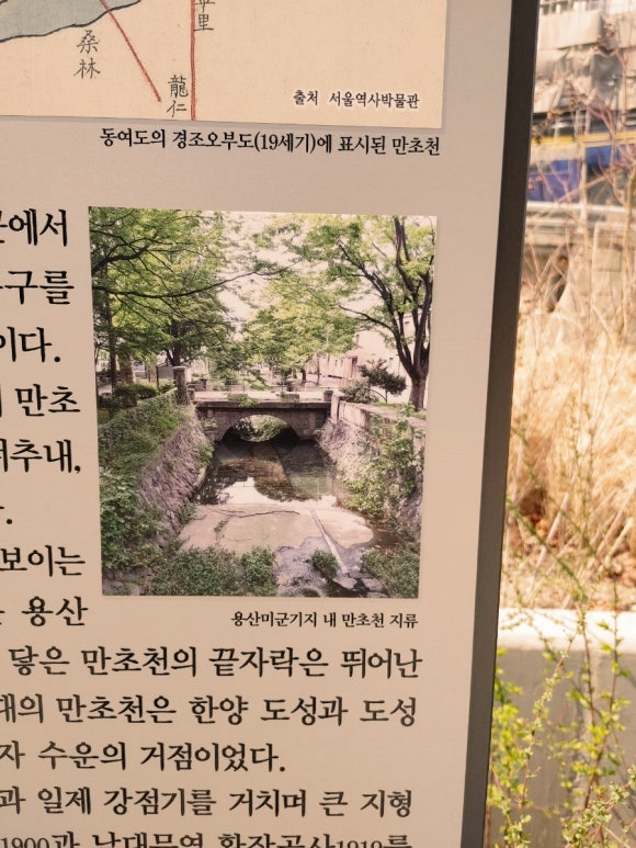 해화무 이미지
