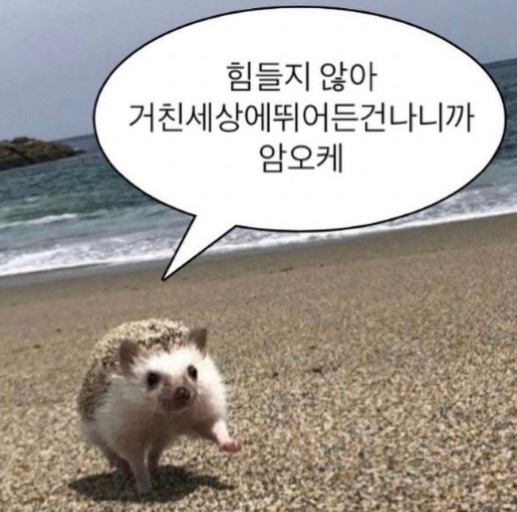 반호스튜디오 이미지