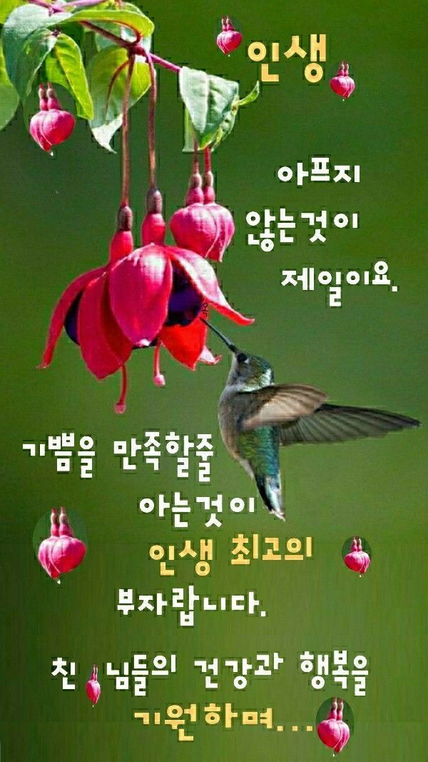 세계로법무사 이미지