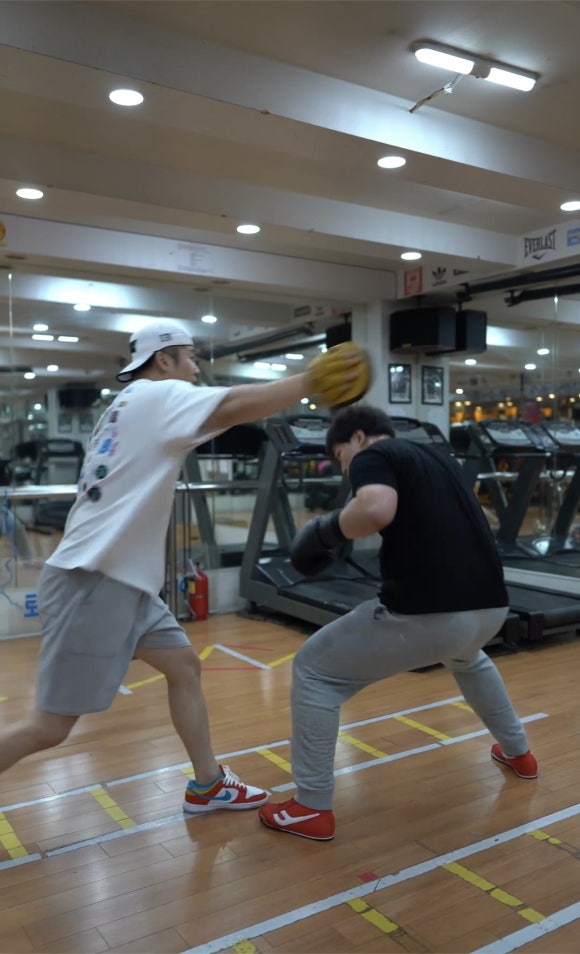 성연미트 이미지