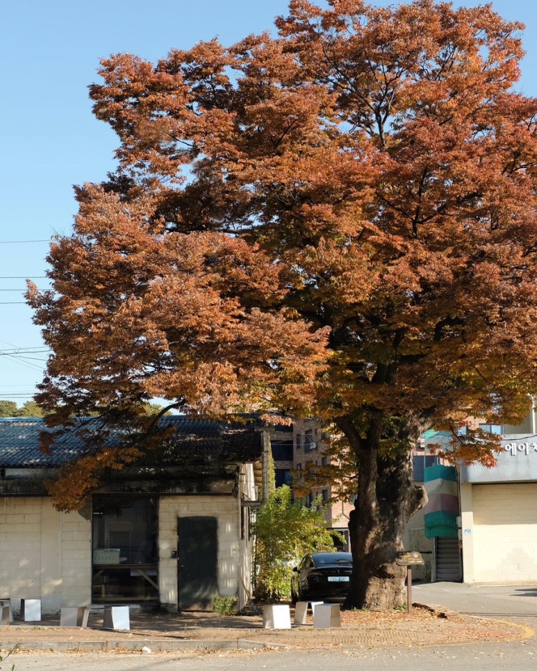 커피냅로스터스 이미지