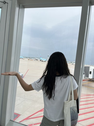 코타팸 이미지