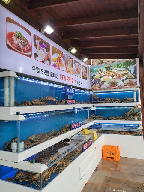 대게플레이스 이미지