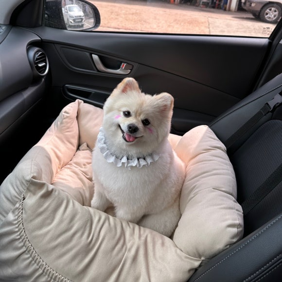 마농사진관 이미지