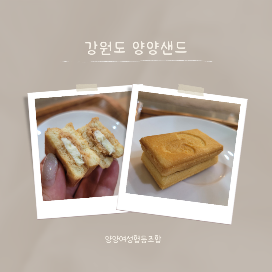 양양여성협동조합 이미지