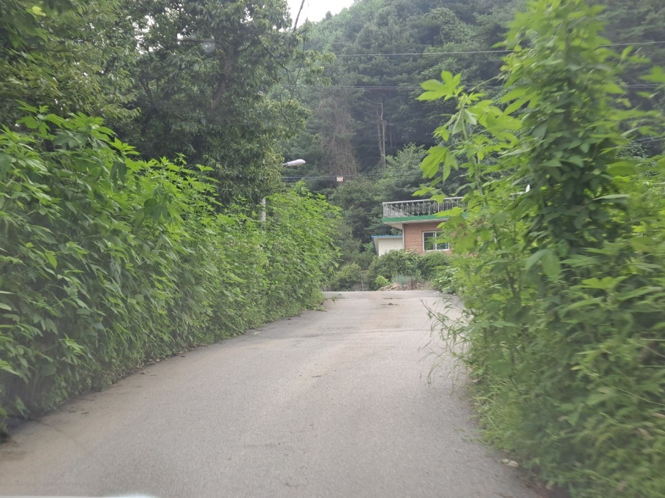 별을담은키즈펜션 이미지