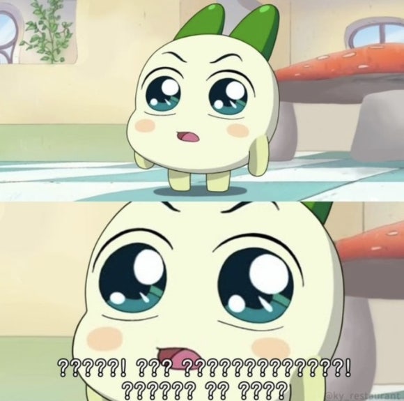 윤포차 이미지