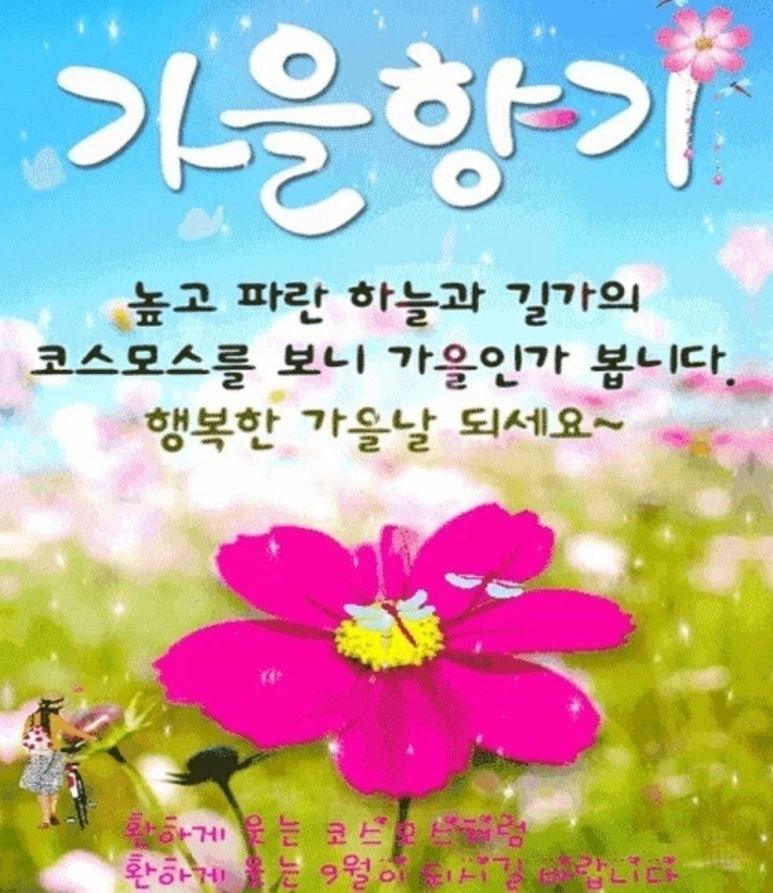 세계로법무사 이미지
