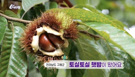 내고향농수산물 이미지