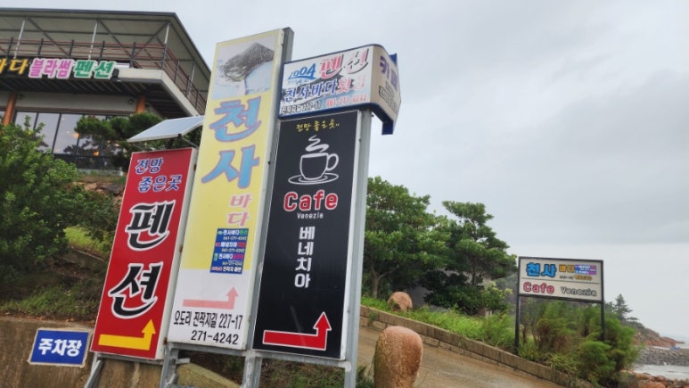 천사바다블라썸 이미지