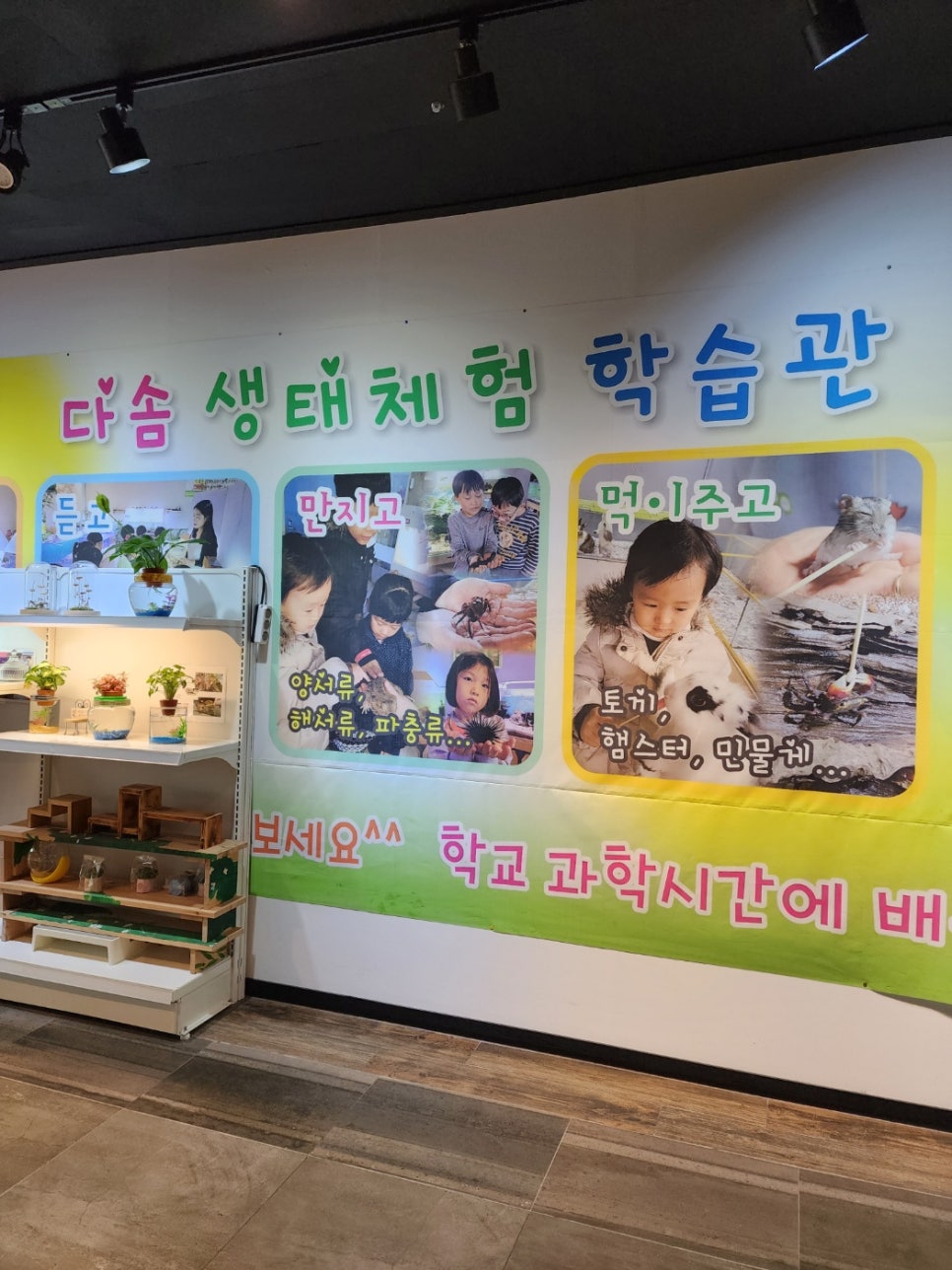 두니다솜 이미지