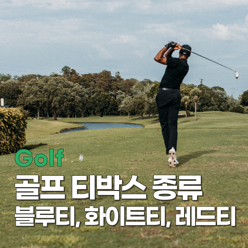 골프 티박스 종류 정리, 블루티, 화이트티, 레이디티 : 네이버 블로그
