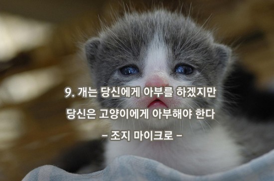 몽키바나나 이미지