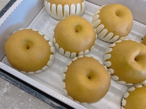 푸룻하게 이미지