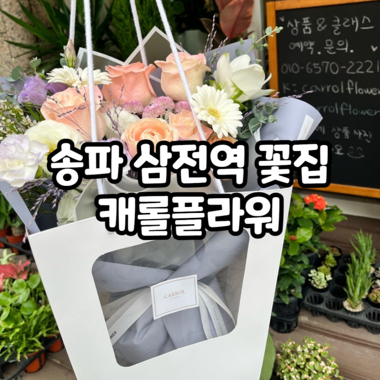 캐롤플라워 이미지