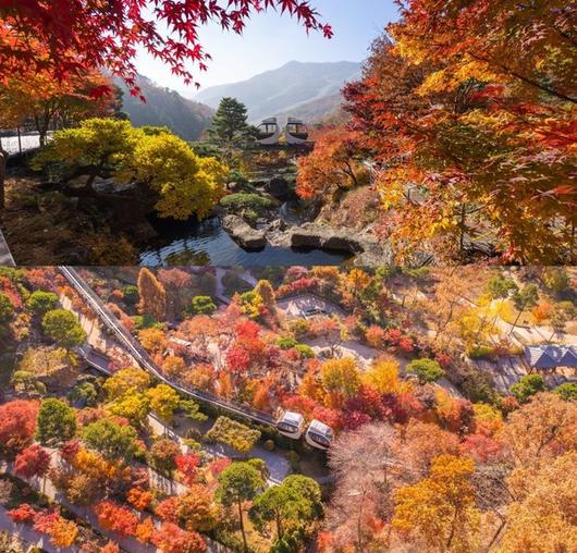 네일:화담 이미지