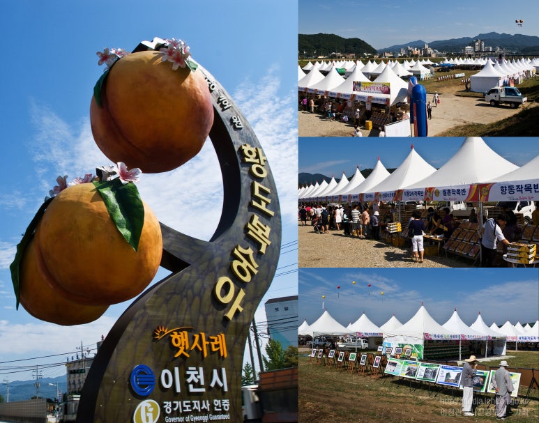 경기동부과수농업협동조합 이미지