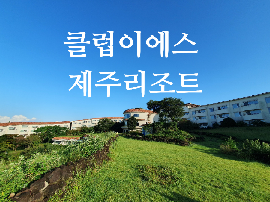 이에스아웃 이미지