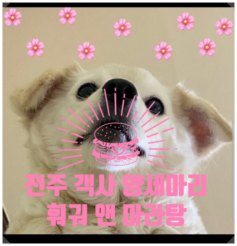 양세마리훠궈앤마라탕 이미지