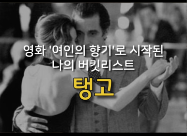 탱고카페tango동호회학원 이미지