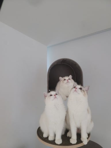 고즈넉하다 이미지