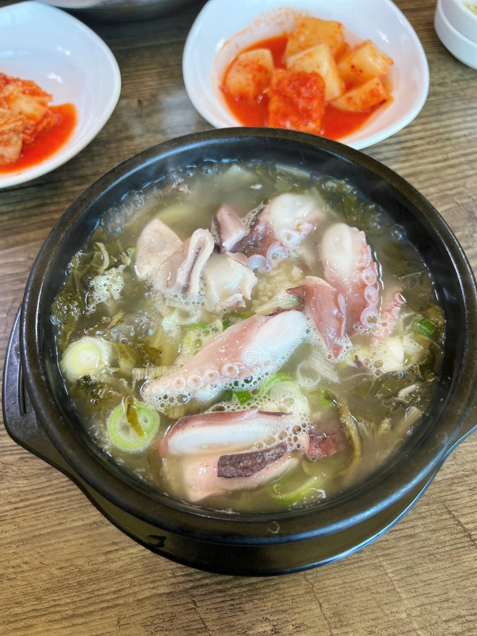 속초맛자랑 이미지