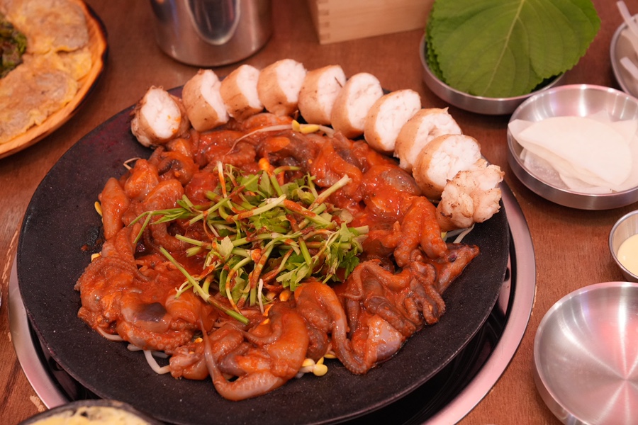 쭈꾸미도사 이미지