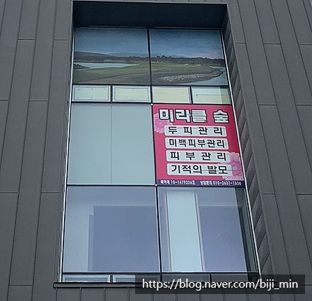 미라클숲 이미지
