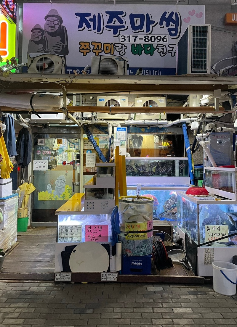 쭈꾸미랑바다친구들 이미지