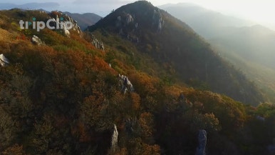우리모두여행사 이미지