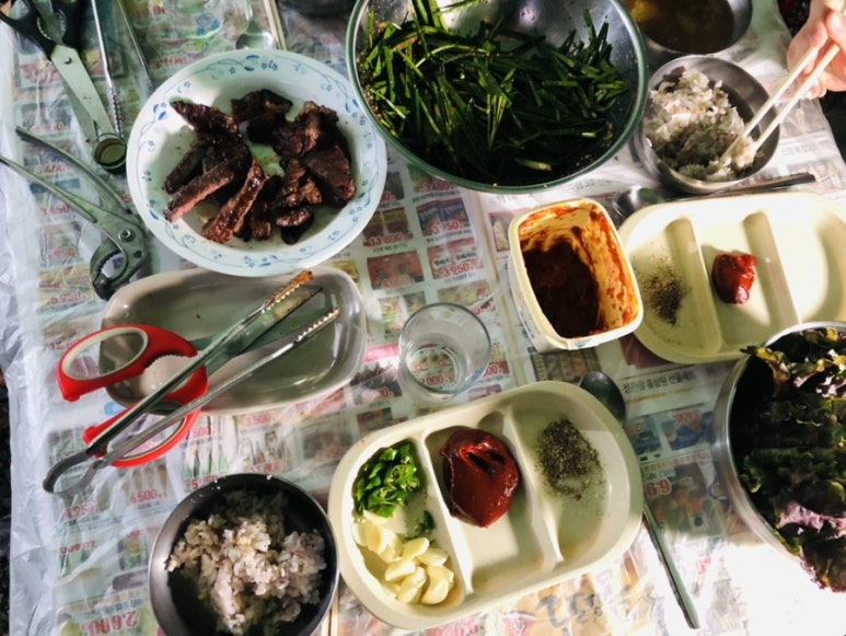 본토박이한우 이미지