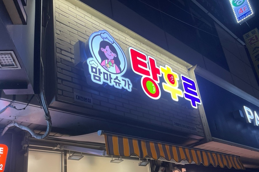 채채슈가 이미지