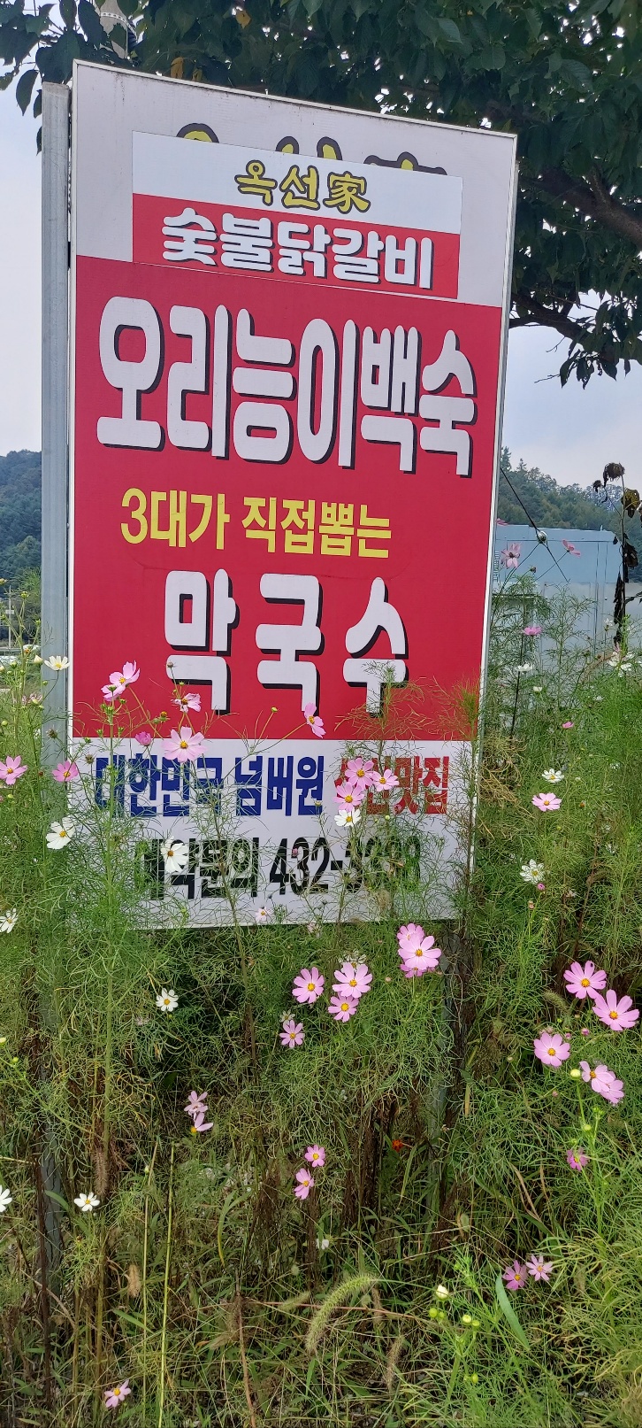 홍천막국수 이미지