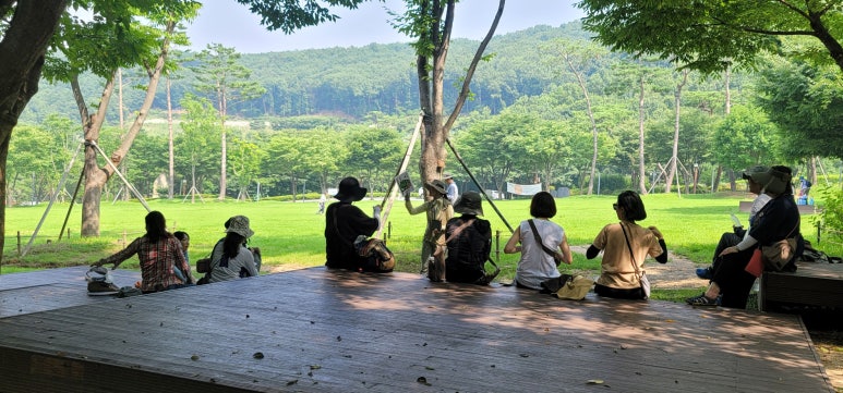 비우고채우는숲 이미지