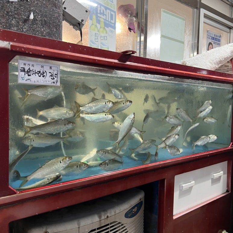 넘버원회도매 이미지